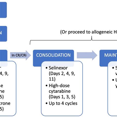 mln-1854|Phase 1 Dose.